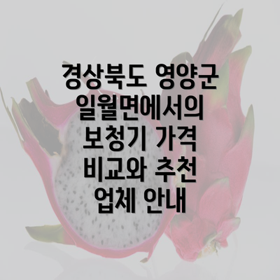 경상북도 영양군 일월면에서의 보청기 가격 비교와 추천 업체 안내