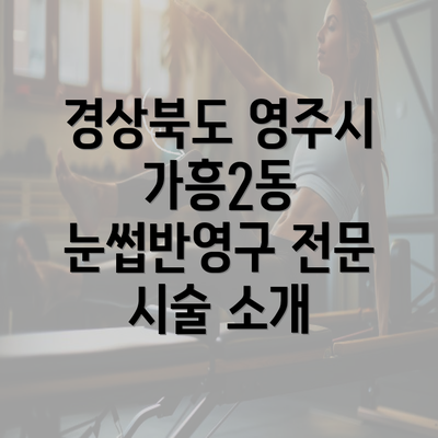 경상북도 영주시 가흥2동 눈썹반영구 전문 시술 소개