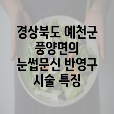 경상북도 예천군 풍양면의 눈썹문신 반영구 시술 특징