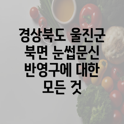 경상북도 울진군 북면 눈썹문신 반영구에 대한 모든 것