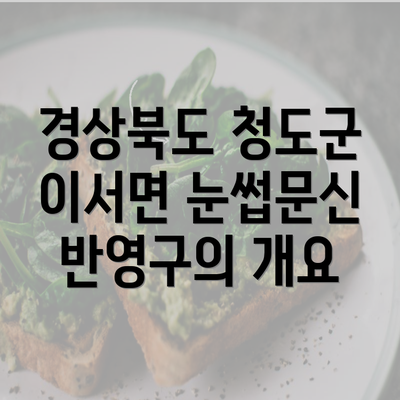 경상북도 청도군 이서면 눈썹문신 반영구의 개요