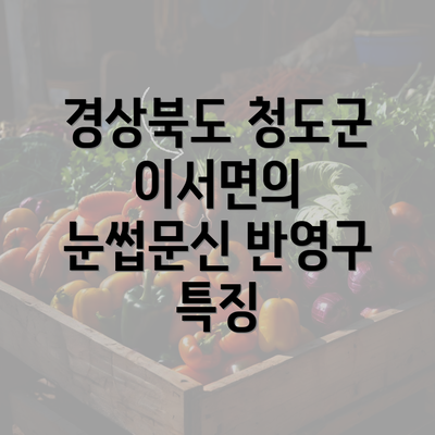 경상북도 청도군 이서면의 눈썹문신 반영구 특징