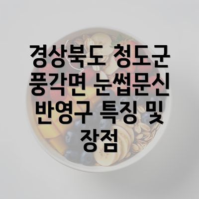 경상북도 청도군 풍각면 눈썹문신 반영구 특징 및 장점