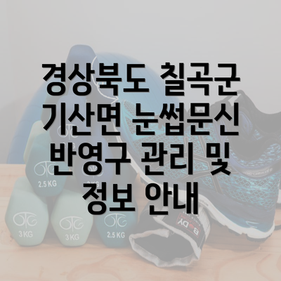 경상북도 칠곡군 기산면 눈썹문신 반영구 관리 및 정보 안내