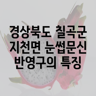 경상북도 칠곡군 지천면 눈썹문신 반영구의 특징