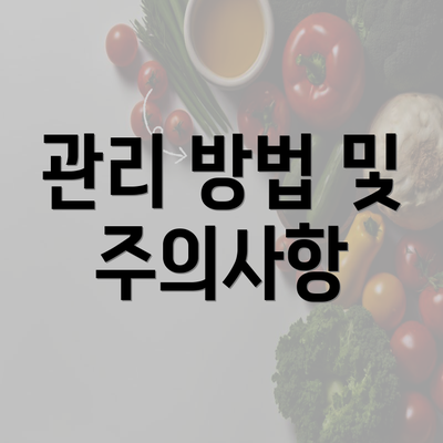 관리 방법 및 주의사항