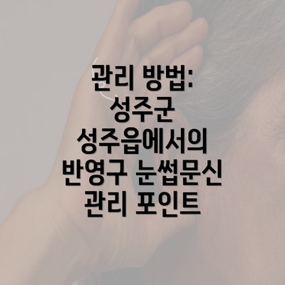 관리 방법: 성주군 성주읍에서의 반영구 눈썹문신 관리 포인트