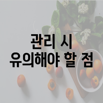 관리 시 유의해야 할 점