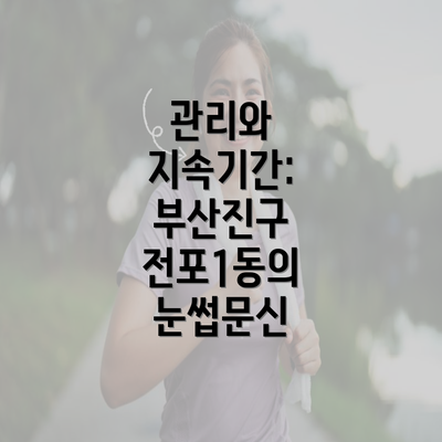 관리와 지속기간: 부산진구 전포1동의 눈썹문신