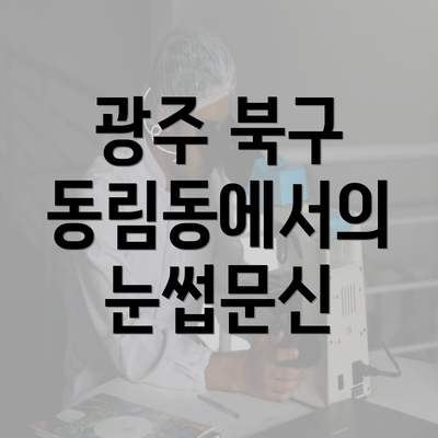 광주 북구 동림동에서의 눈썹문신