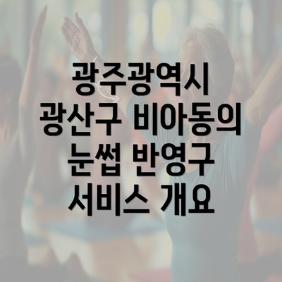 광주광역시 광산구 비아동의 눈썹 반영구 서비스 개요