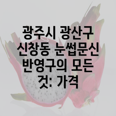 광주시 광산구 신창동 눈썹문신 반영구의 모든 것: 가격