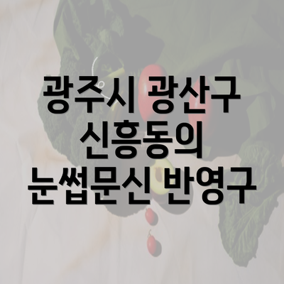 광주시 광산구 신흥동의 눈썹문신 반영구