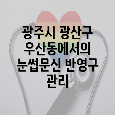 광주시 광산구 우산동에서의 눈썹문신 반영구 관리