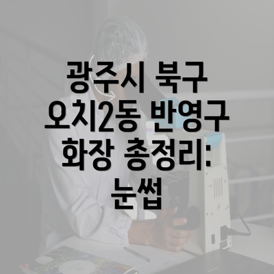 광주시 북구 오치2동 반영구 화장 총정리: 눈썹