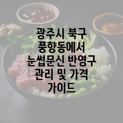 광주시 북구 풍향동에서 눈썹문신 반영구 관리 및 가격 가이드