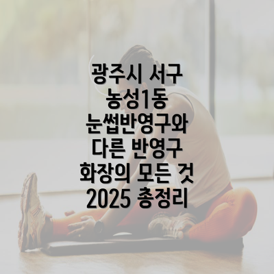 광주시 서구 농성1동 눈썹반영구와 다른 반영구 화장의 모든 것 2025 총정리