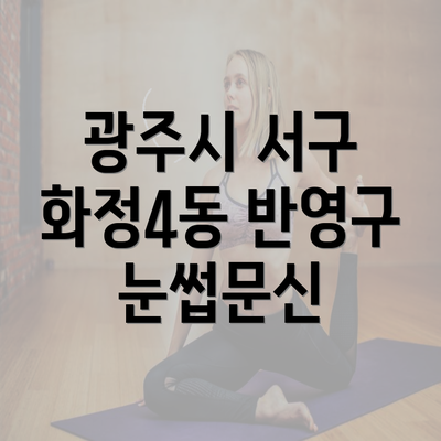 광주시 서구 화정4동 반영구 눈썹문신