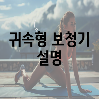 귀속형 보청기 설명