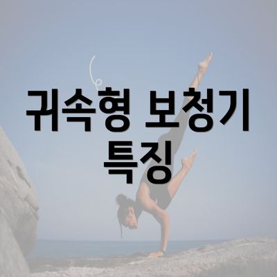 귀속형 보청기 특징