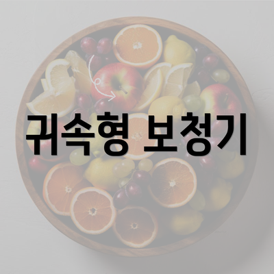 귀속형 보청기