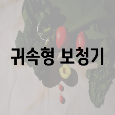 귀속형 보청기