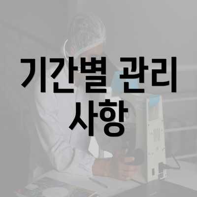 기간별 관리 사항