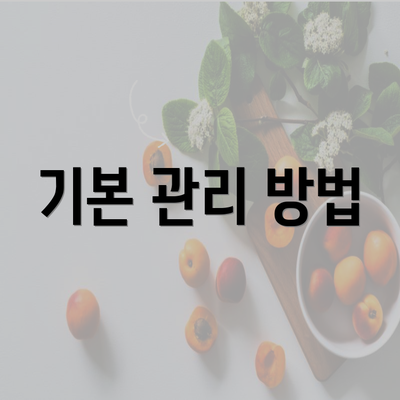 기본 관리 방법