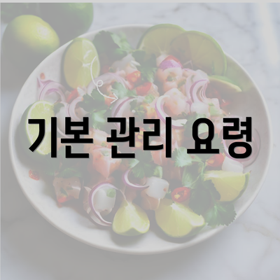 기본 관리 요령