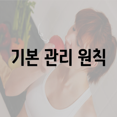 기본 관리 원칙