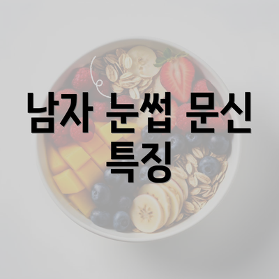 남자 눈썹 문신 특징