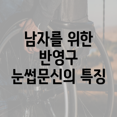 남자를 위한 반영구 눈썹문신의 특징