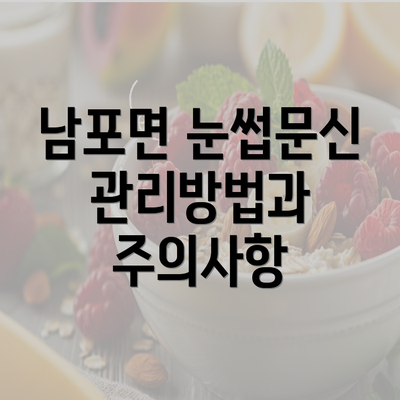 남포면 눈썹문신 관리방법과 주의사항