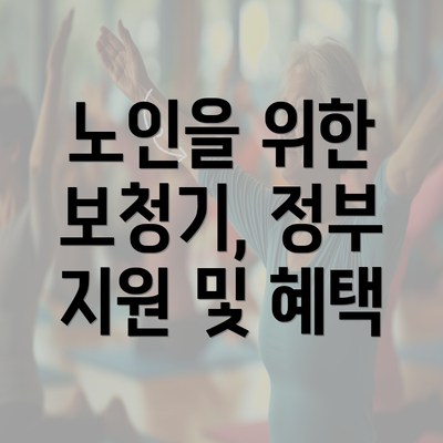 노인을 위한 보청기, 정부 지원 및 혜택