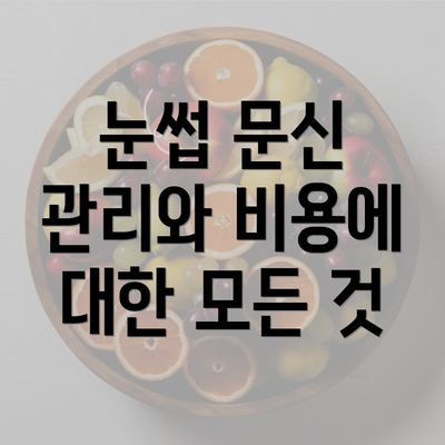 눈썹 문신 관리와 비용에 대한 모든 것