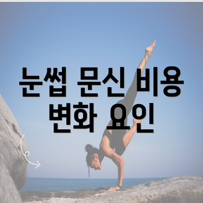 눈썹 문신 비용 변화 요인