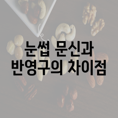 눈썹 문신과 반영구의 차이점