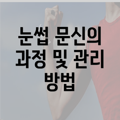 눈썹 문신의 과정 및 관리 방법