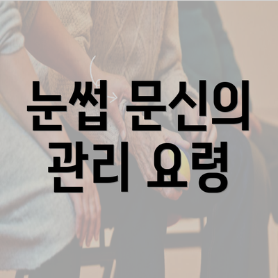 눈썹 문신의 관리 요령