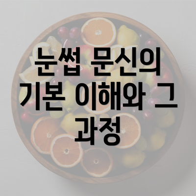 눈썹 문신의 기본 이해와 그 과정