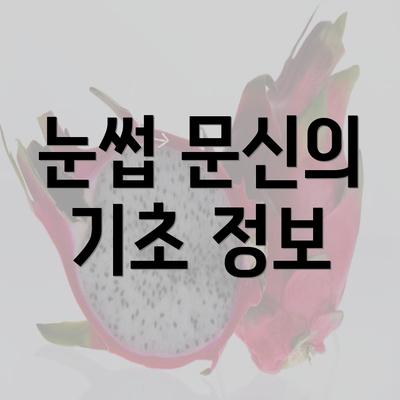 눈썹 문신의 기초 정보