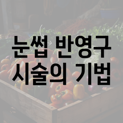 눈썹 반영구 시술의 기법