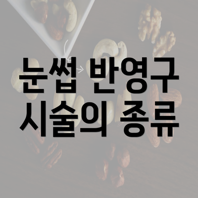 눈썹 반영구 시술의 종류