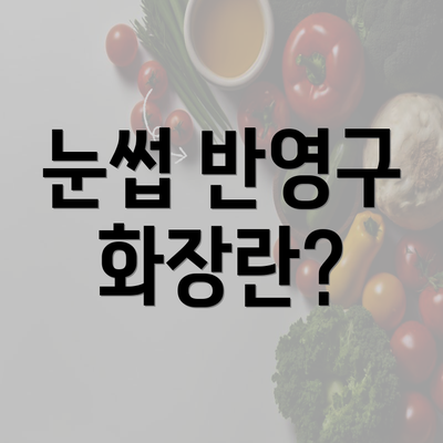 눈썹 반영구 화장란?