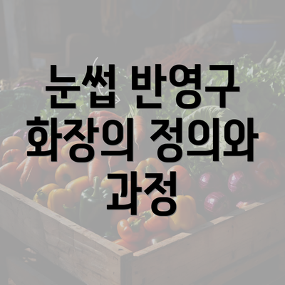 눈썹 반영구 화장의 정의와 과정