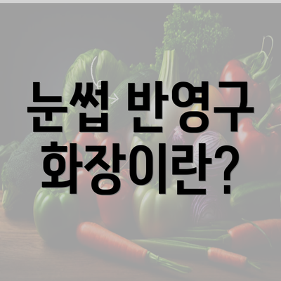 눈썹 반영구 화장이란?