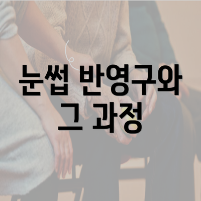 눈썹 반영구와 그 과정