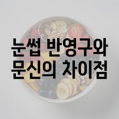 눈썹 반영구와 문신의 차이점