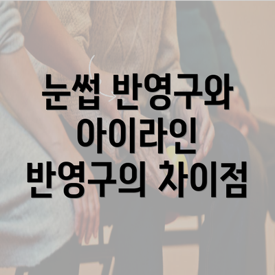 눈썹 반영구와 아이라인 반영구의 차이점