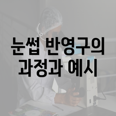 눈썹 반영구의 과정과 예시